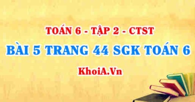 Bài 5 trang 44 SGK Toán 6 Tập 2 Chân trời sáng tạo